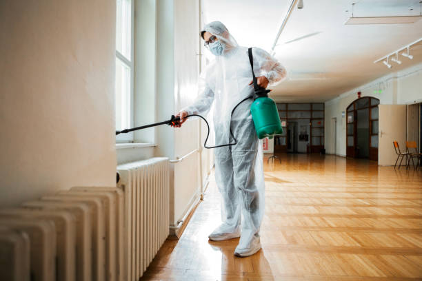 Best Termite Inspection and Treatment  in Lan, MI